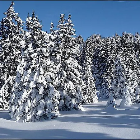 Alpenfriede Curon Venosta
